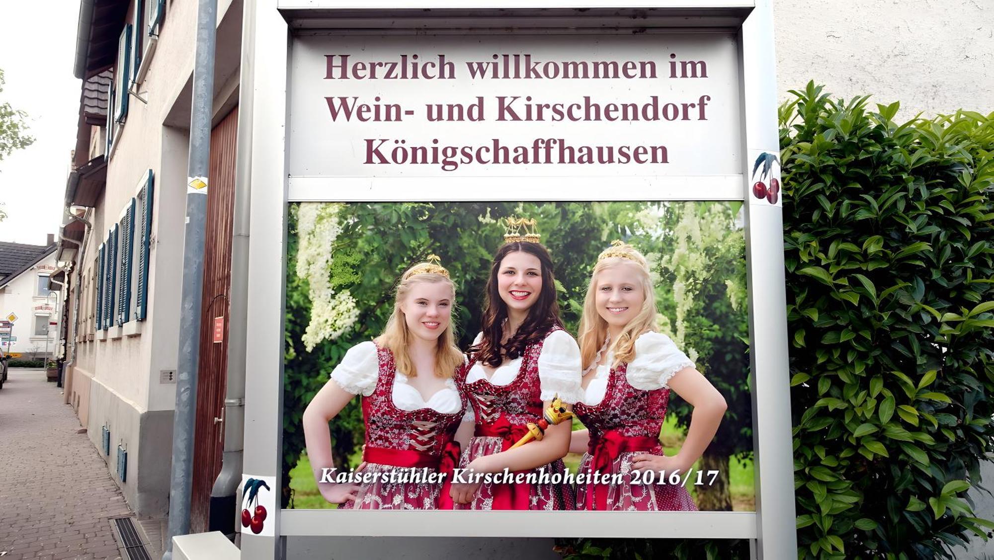 Ferienwohnung Fliegerhorst Endingen am Kaiserstuhl Kültér fotó