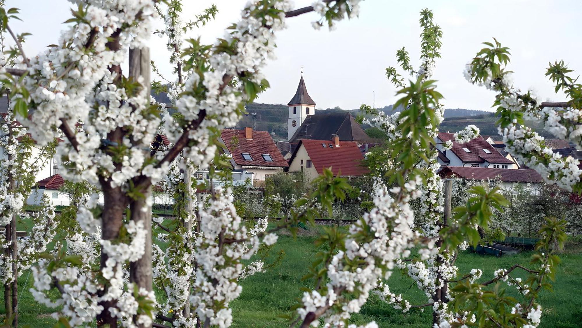 Ferienwohnung Fliegerhorst Endingen am Kaiserstuhl Kültér fotó