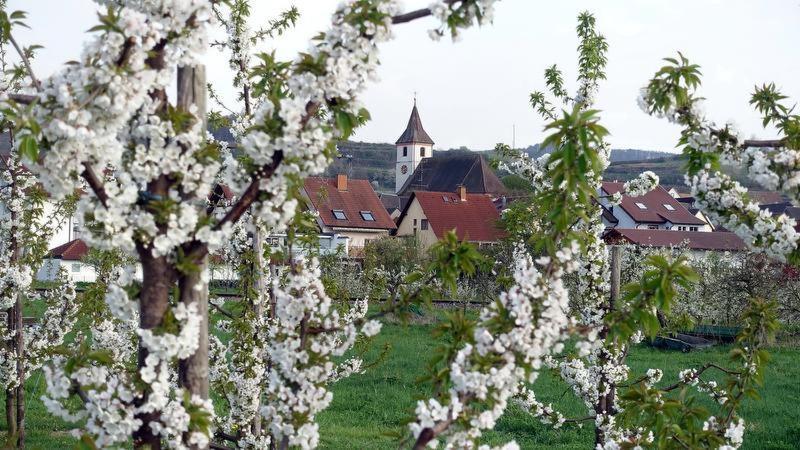 Ferienwohnung Fliegerhorst Endingen am Kaiserstuhl Kültér fotó